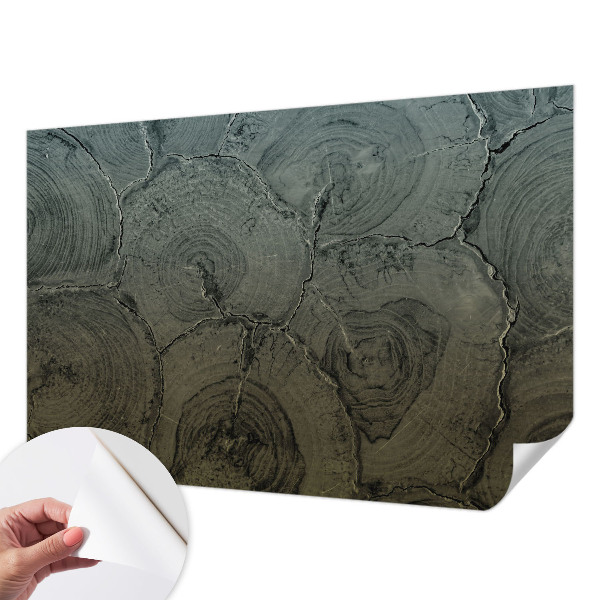 Fotografická tapeta samolepiaca Drevené krúžky