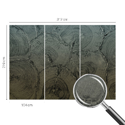 Fotografická tapeta samolepiaca Drevené krúžky