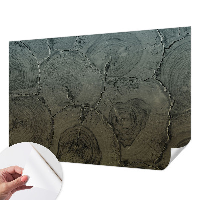 Fotografická tapeta samolepiaca Drevené krúžky