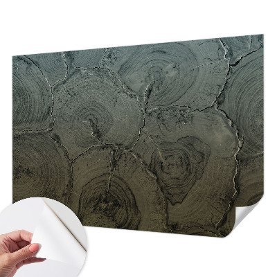 Fotografická tapeta samolepiaca Drevené krúžky