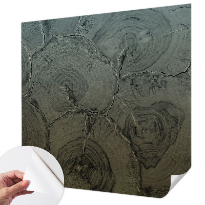 Fotografická tapeta samolepiaca Drevené krúžky