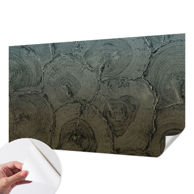 Fotografická tapeta samolepiaca Drevené krúžky