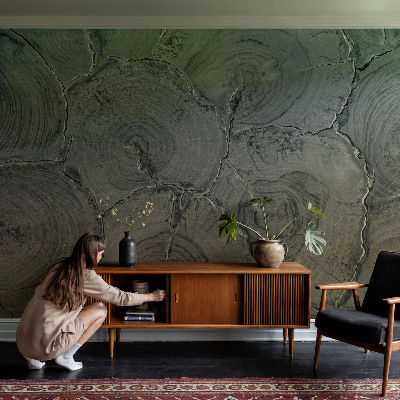 Fotografická tapeta samolepiaca Drevené krúžky