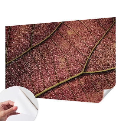 Samolepiaca fototapeta do obývačky Listová textúra