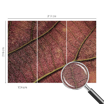 Samolepiaca fototapeta do obývačky Listová textúra