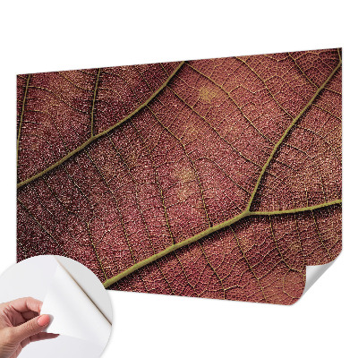 Samolepiaca fototapeta do obývačky Listová textúra