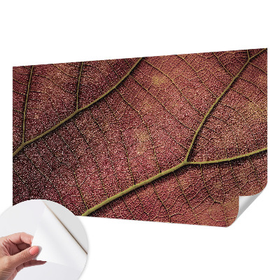 Samolepiaca fototapeta do obývačky Listová textúra