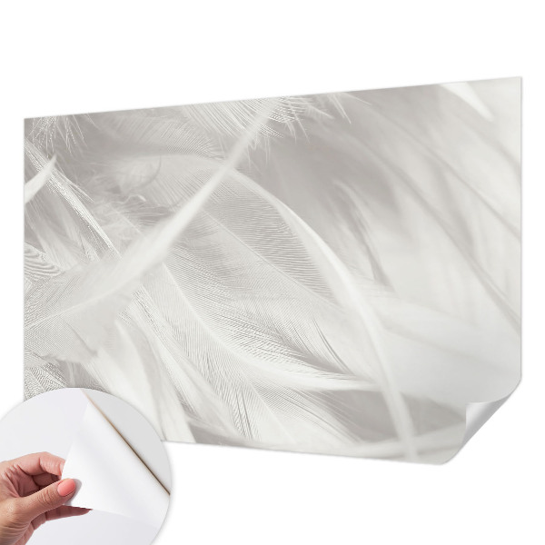 3D fototapeta Jemné pierka