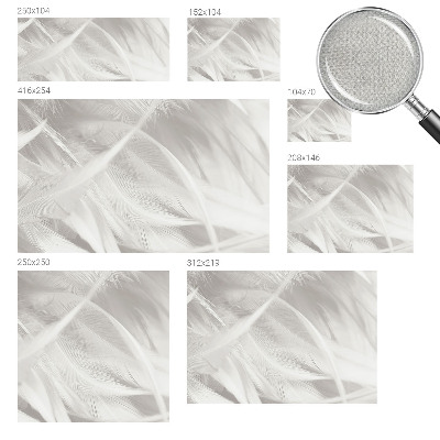 3D fototapeta Jemné pierka