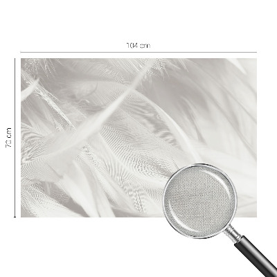 3D fototapeta Jemné pierka