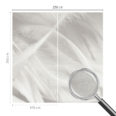 3D fototapeta Jemné pierka