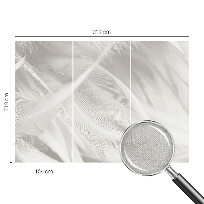 3D fototapeta Jemné pierka