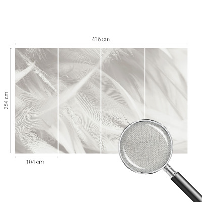 3D fototapeta Jemné pierka