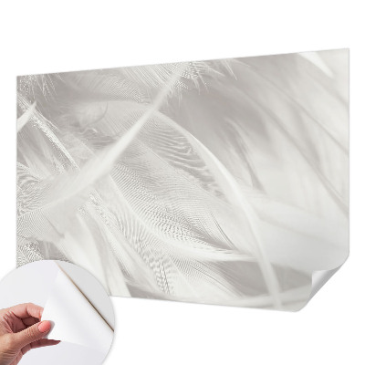 3D fototapeta Jemné pierka