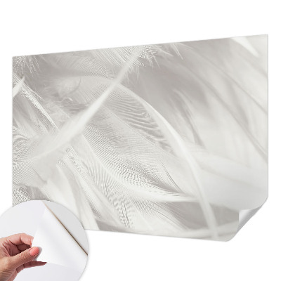 3D fototapeta Jemné pierka