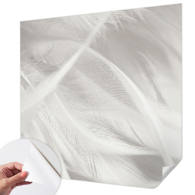 3D fototapeta Jemné pierka