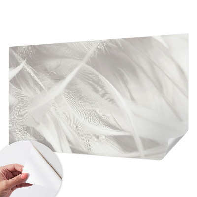 3D fototapeta Jemné pierka