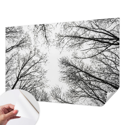 Fotografická tapeta do detskej izby s motívom holých konárov