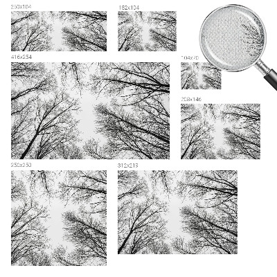 Fotografická tapeta do detskej izby Holé konáre