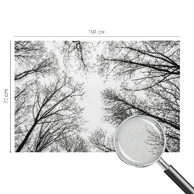 Fotografická tapeta do detskej izby Holé konáre