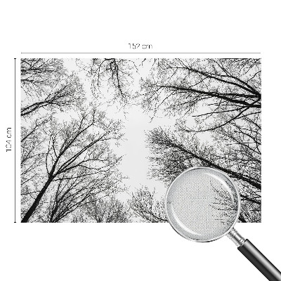 Fotografická tapeta do detskej izby Holé konáre