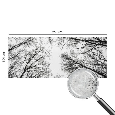 Fotografická tapeta do detskej izby Holé konáre