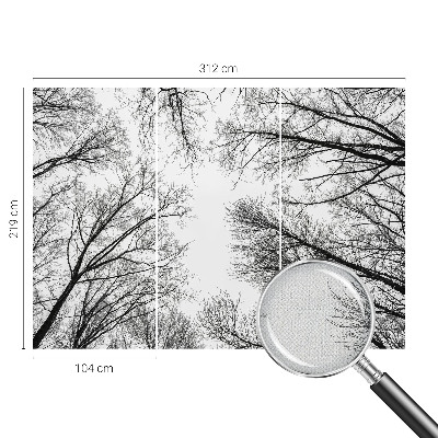 Fotografická tapeta do detskej izby Holé konáre