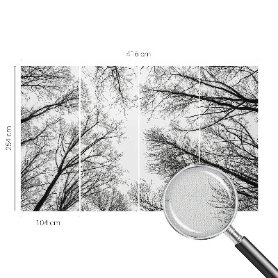 Fotografická tapeta do detskej izby Holé konáre