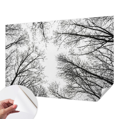 Fotografická tapeta do detskej izby Holé konáre