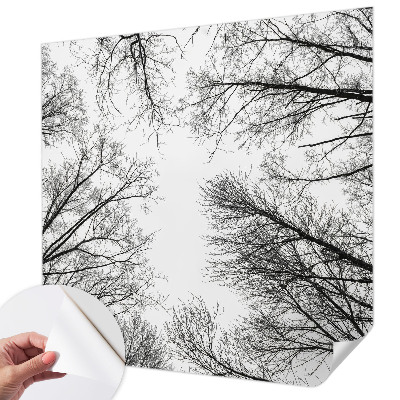 Fotografická tapeta do detskej izby Holé konáre