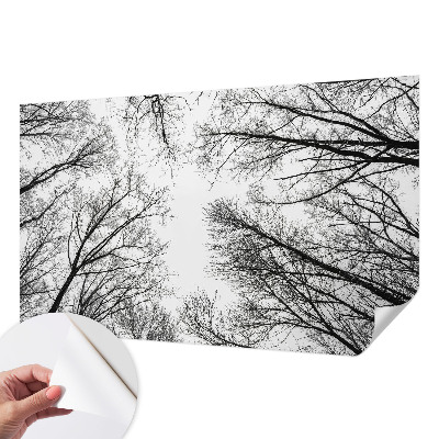 Fotografická tapeta do detskej izby Holé konáre