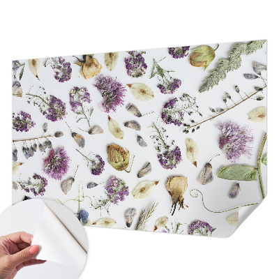 Detská fototapeta na stenu Sušené kvety