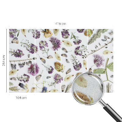 Detská fototapeta na stenu Sušené kvety