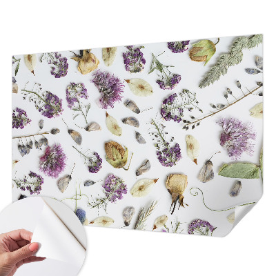 Detská fototapeta na stenu Sušené kvety