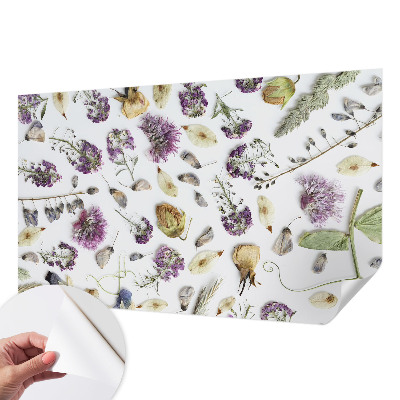 Detská fototapeta na stenu Sušené kvety