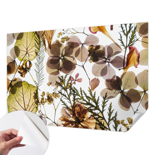 Detská fototapeta na stenu Prírodné zloženie