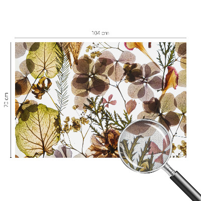 Detská fototapeta na stenu Prírodné zloženie