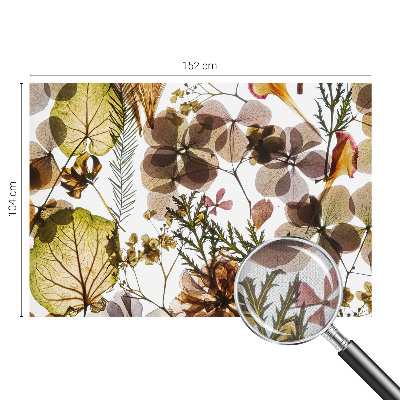 Detská fototapeta na stenu Prírodné zloženie