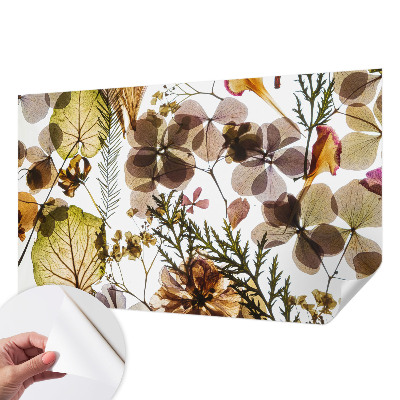 Detská fototapeta na stenu Prírodné zloženie