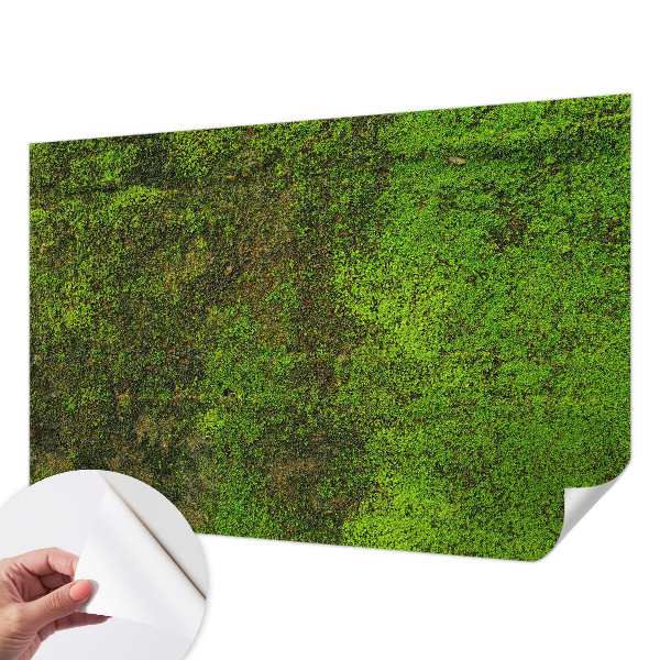 Samolepiaca tapeta Zelený koberec