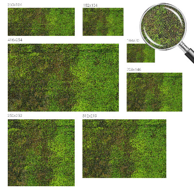 Samolepiaca tapeta Zelený koberec