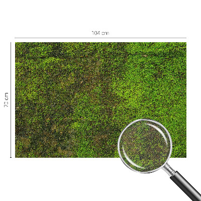 Samolepiaca tapeta Zelený koberec