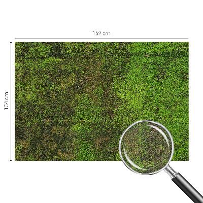 Samolepiaca tapeta Zelený koberec