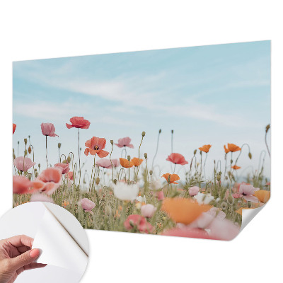 3D fototapeta Makové kvety