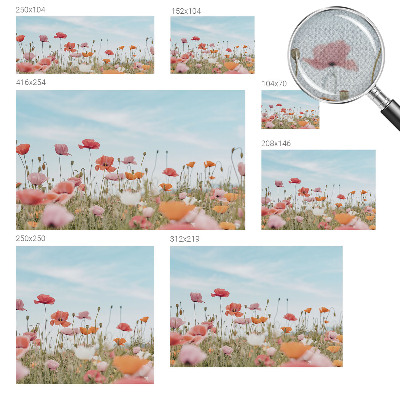 3D fototapeta Makové kvety