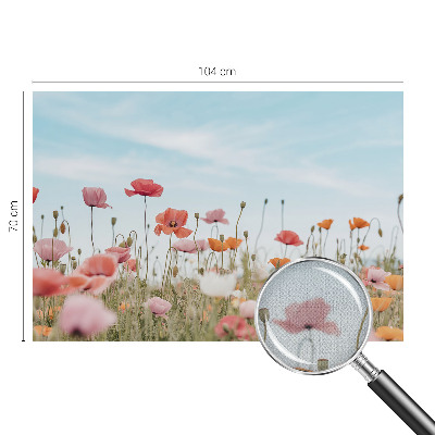 3D fototapeta Makové kvety