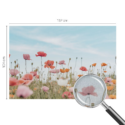 3D fototapeta Makové kvety