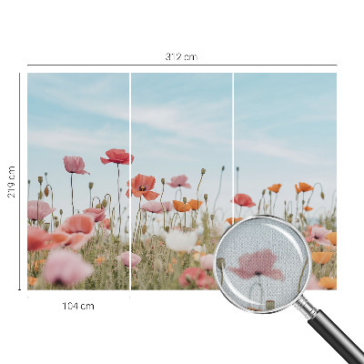 3D fototapeta Makové kvety