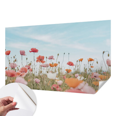 3D fototapeta Makové kvety