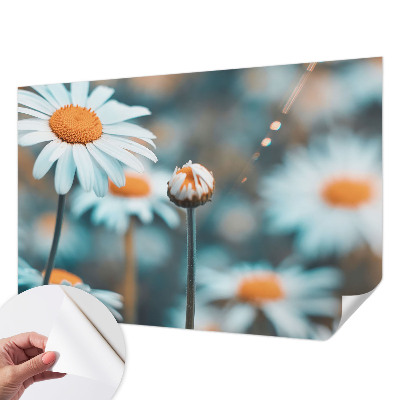 Tapeta do detskej izby Harmančeková pochúťka